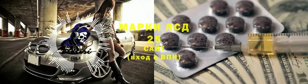 крисы Дмитриев