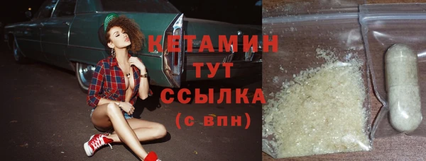 крисы Дмитриев