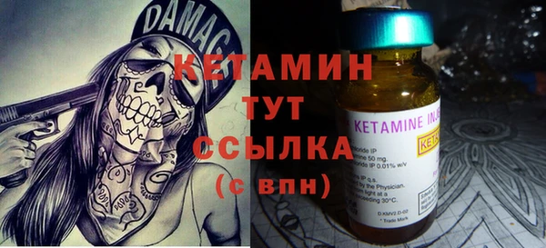 крисы Дмитриев