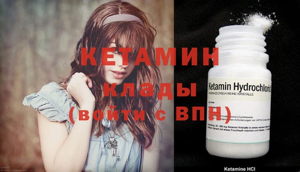 крисы Дмитриев