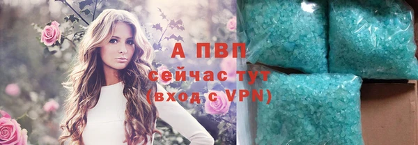 крисы Дмитриев